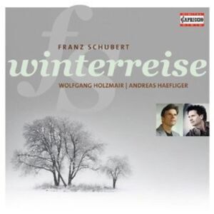 Winterreise Op 89 D 911
